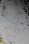 laminieren21