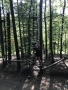 Foto-31.08.19-16-02-08